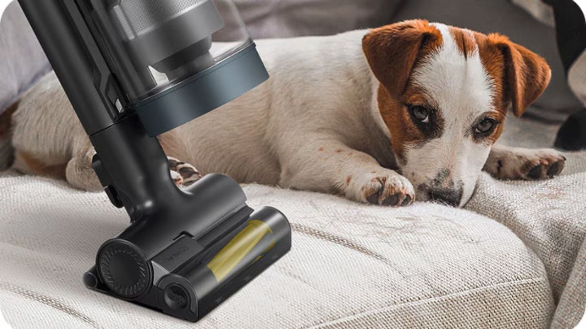 best vacuum for pet hair