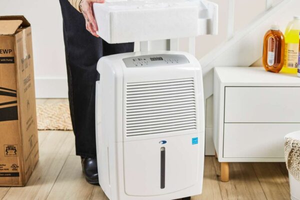 dehumidifier basement